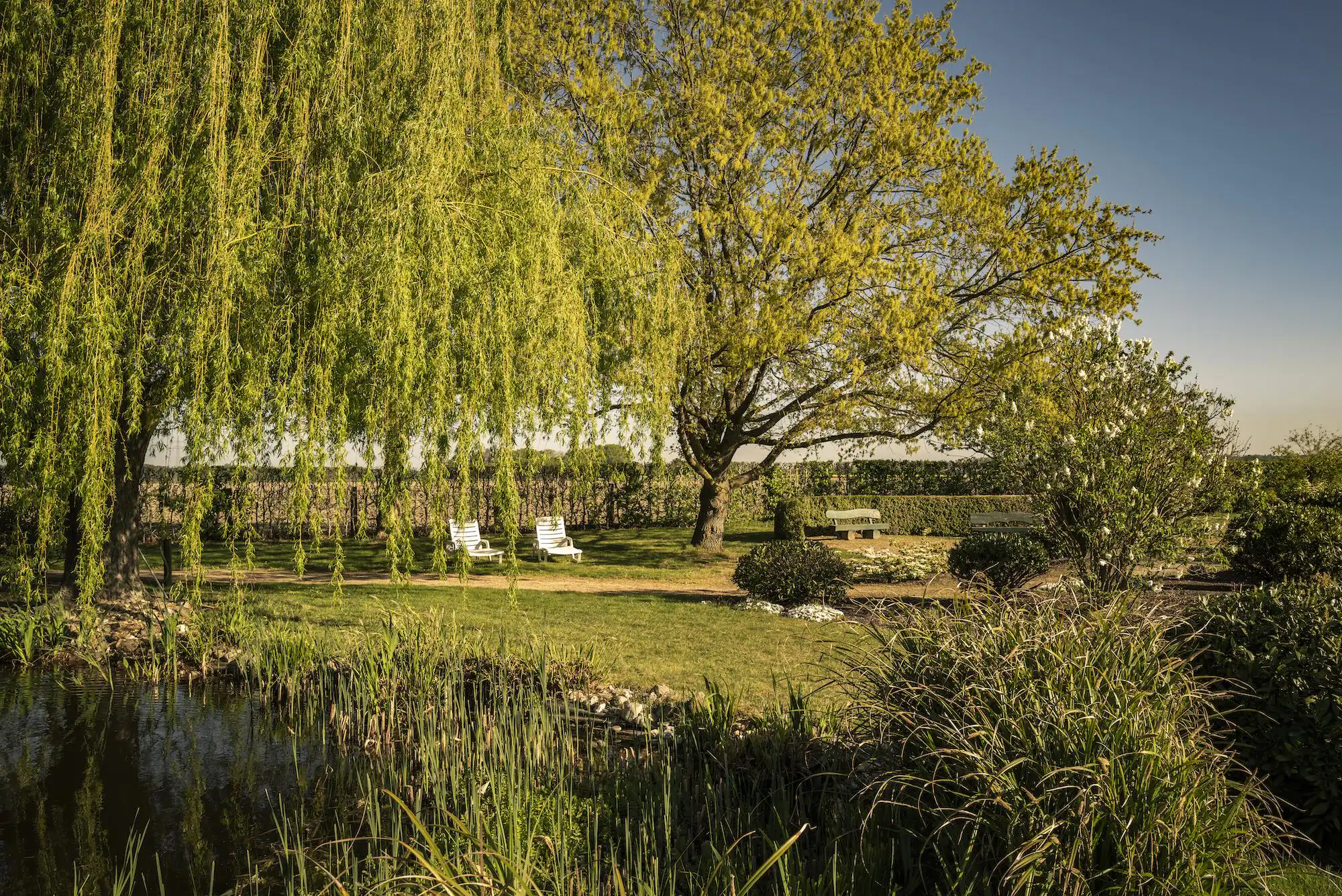 Gesundung für Körper und Geist Ein Teich mit Schilf steht im Vordergrund, weiße Stühle und Bänke sind unter großen Bäumen in einem gepflegten Garten angeordnet.