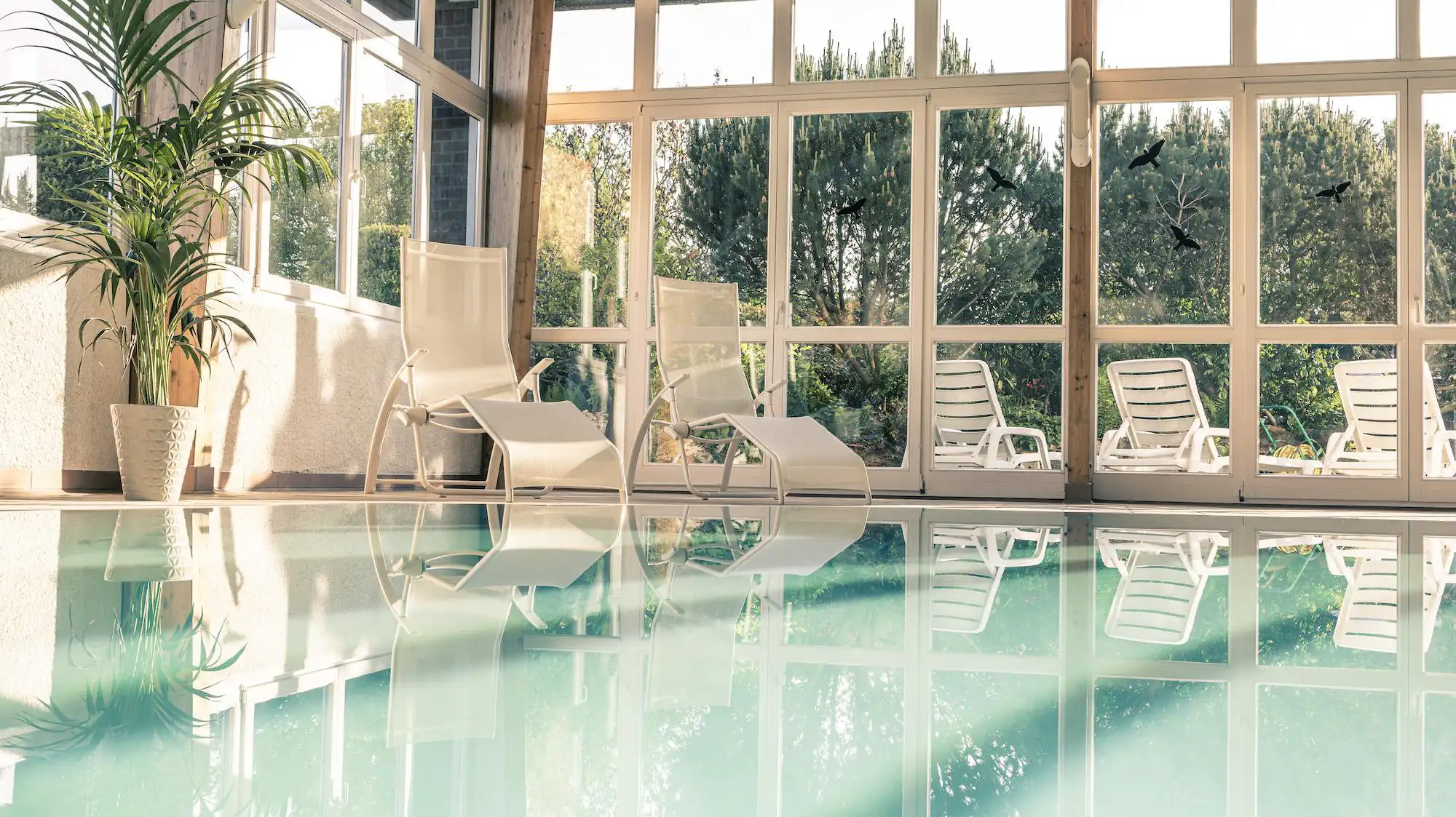 Schwimmbad und Wellness Weiße Liegestühle stehen neben einem Innenpool in einem Raum mit großen Fenstern, die auf einen grünen Garten blicken; eine Pflanze ergänzt die ruhige, lichtdurchflutete Atmosphäre.