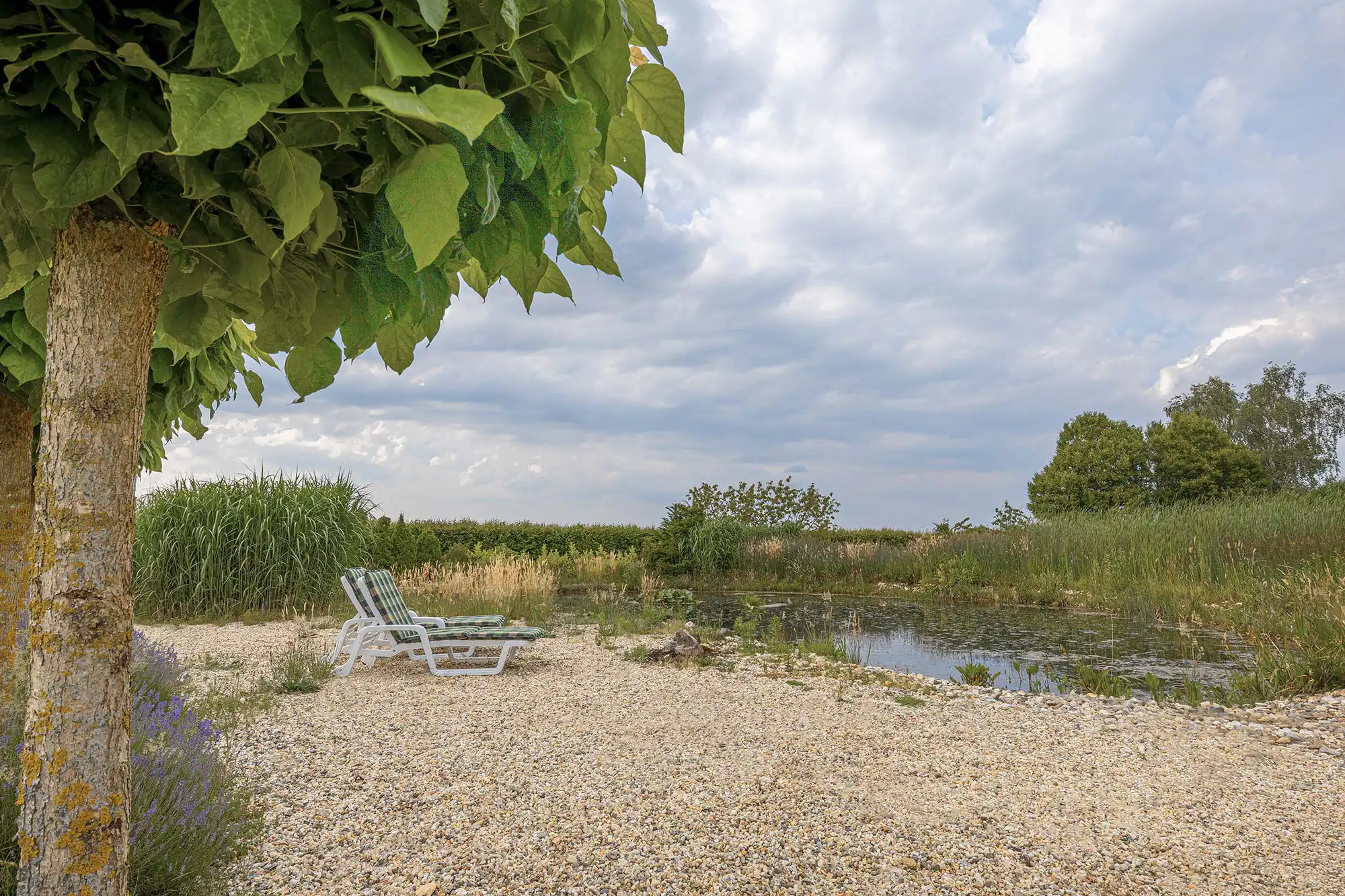Parkanlage der Privatklinik Merbeck Ein Kiesstrand mit zwei weißen Liegestühlen steht neben einem kleinen Teich, umgeben von hohem Gras und Bäumen unter einem bewölkten Himmel.