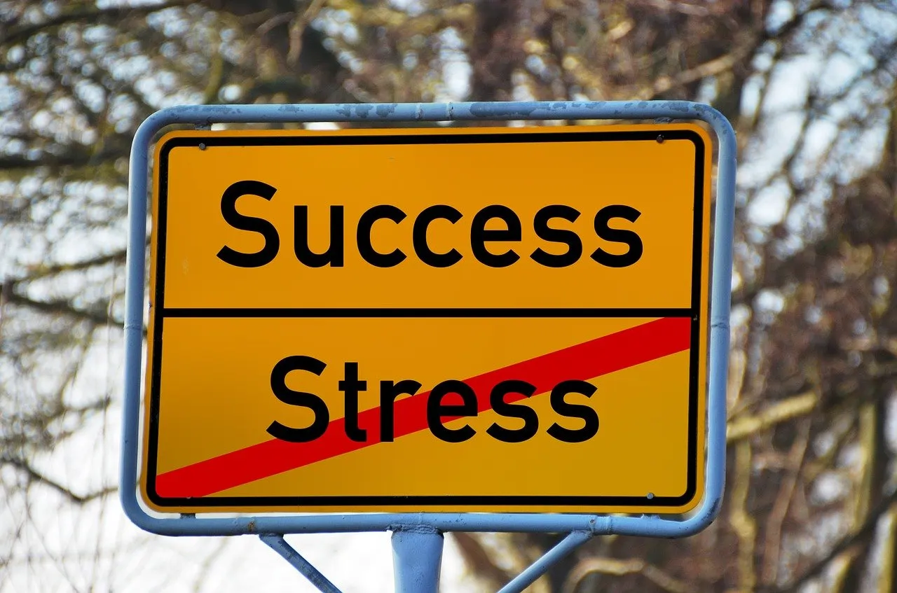 Ein gelbes Schild zeigt "Success" oben, während "Stress" unten mit einer durchgestrichenen Linie dargestellt ist, im Hintergrund sind unscharfe Baumzweige zu sehen.