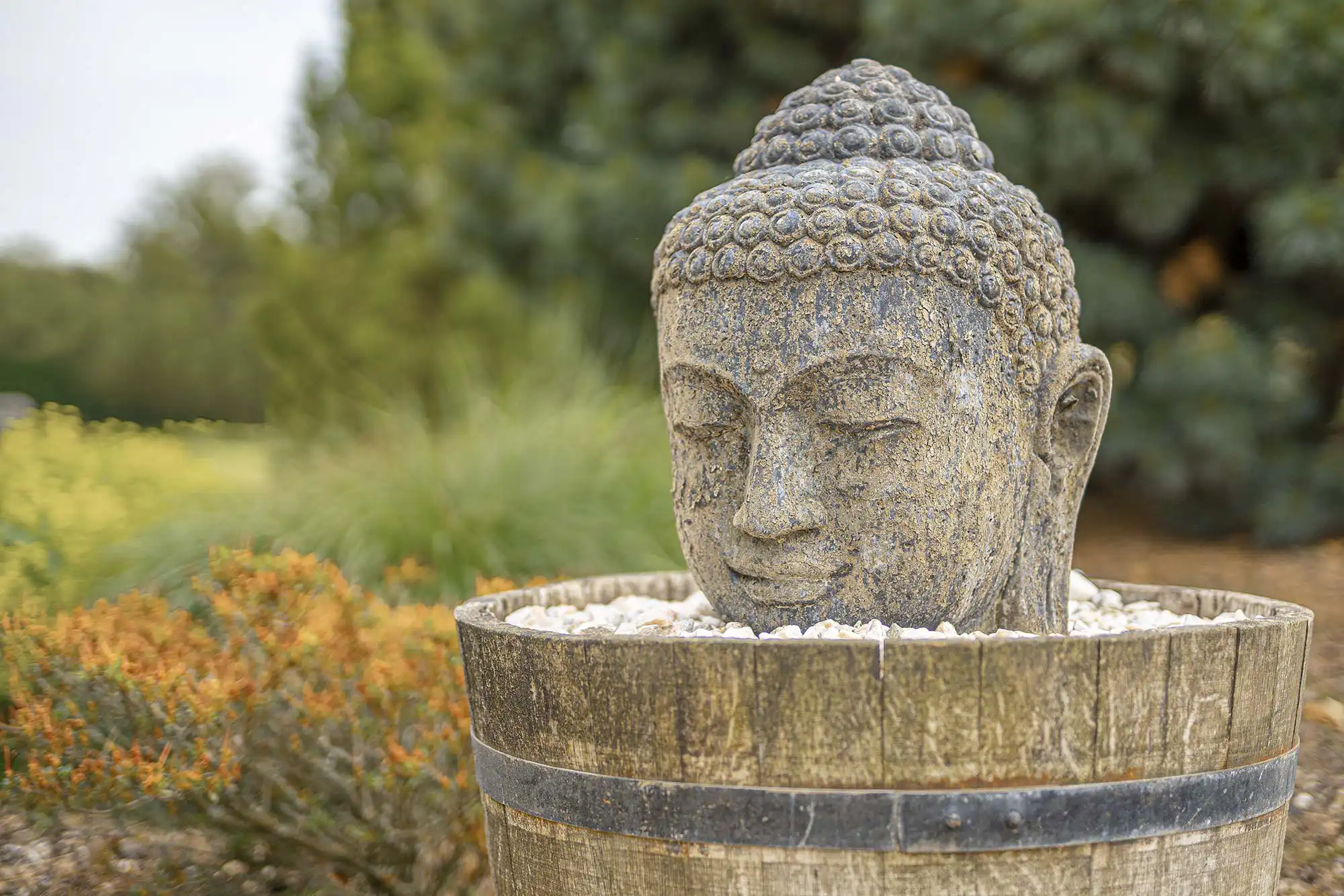 Psychosomatik – der Mensch im Ganzen zählt Skulptur von Buddhas Kopf im Garten der Privatklinik Merbeck.